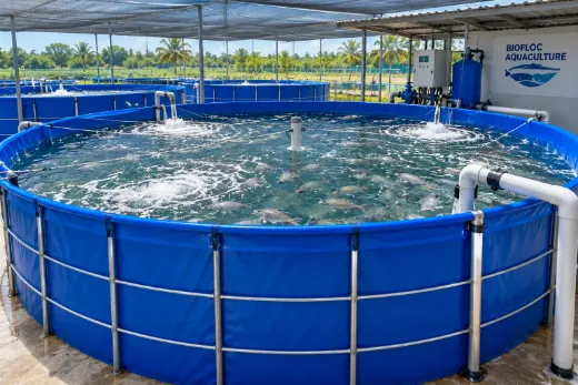 Bio-flo tanks